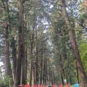 ヒメ日記 2025/04/29 20:04 投稿 大塚かずみ 大阪ぽっちゃり妻