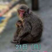 ヒメ日記 2025/07/19 00:30 投稿 大塚かずみ 大阪ぽっちゃり妻