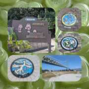 ヒメ日記 2025/09/26 23:03 投稿 大塚かずみ 大阪ぽっちゃり妻