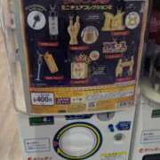 ヒメ日記 2025/12/16 10:02 投稿 大塚かずみ 大阪ぽっちゃり妻