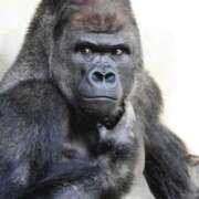 ヒメ日記 2026/02/05 12:02 投稿 大塚かずみ 大阪ぽっちゃり妻