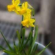 ヒメ日記 2026/03/16 19:03 投稿 大塚かずみ 大阪ぽっちゃり妻