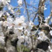 ヒメ日記 2026/03/28 10:31 投稿 大塚かずみ 大阪ぽっちゃり妻