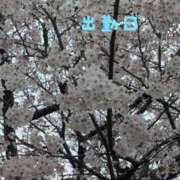 ヒメ日記 2026/04/02 13:01 投稿 大塚かずみ 大阪ぽっちゃり妻