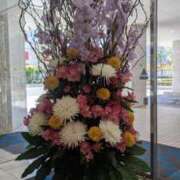 ヒメ日記 2026/04/08 23:02 投稿 大塚かずみ 大阪ぽっちゃり妻