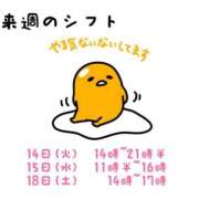 ヒメ日記 2026/04/11 15:02 投稿 大塚かずみ 大阪ぽっちゃり妻