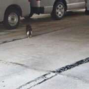 ヒメ日記 2025/04/21 09:49 投稿 叶 人妻最後の砦 鶴ヶ島店