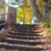 ヒメ日記 2025/11/17 14:49 投稿 加藤　るみ モデルコレクション 五反田店