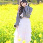 ヒメ日記 2026/04/03 12:09 投稿 加藤　るみ モデルコレクション 五反田店