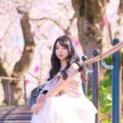 ヒメ日記 2026/04/04 10:49 投稿 加藤　るみ モデルコレクション 五反田店