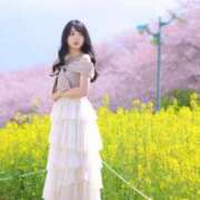 ヒメ日記 2026/04/07 08:49 投稿 加藤　るみ モデルコレクション 五反田店