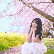 ヒメ日記 2026/04/11 10:35 投稿 加藤　るみ モデルコレクション 五反田店