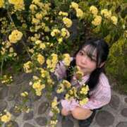 ヒメ日記 2026/04/16 16:49 投稿 加藤　るみ モデルコレクション 五反田店