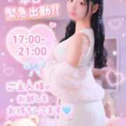 ヒメ日記 2026/06/05 06:19 投稿 加藤　るみ モデルコレクション 五反田店