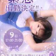 ヒメ日記 2026/06/08 17:19 投稿 加藤　るみ モデルコレクション 五反田店