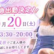 ヒメ日記 2026/06/19 23:49 投稿 加藤　るみ モデルコレクション 五反田店