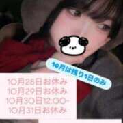 ヒメ日記 2025/10/27 13:09 投稿 加藤　るみ イラマチーオ五反田店