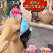 ヒメ日記 2025/04/21 08:29 投稿 あきな ハイブリッドヘルス小岩中央