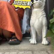 ヒメ日記 2025/07/01 18:09 投稿 あきな ハイブリッドヘルス小岩中央