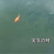 ヒメ日記 2023/09/19 17:13 投稿 みすず スピードエコ天王寺店