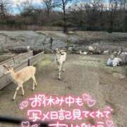 ヒメ日記 2024/12/31 16:48 投稿 咲紀(さき) 札幌人妻マドンナ