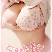 ヒメ日記 2025/01/16 17:57 投稿 咲紀(さき) 札幌人妻マドンナ