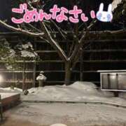 ヒメ日記 2025/01/29 02:58 投稿 咲紀(さき) 札幌人妻マドンナ