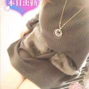 ヒメ日記 2025/02/19 14:34 投稿 咲紀(さき) 札幌人妻マドンナ