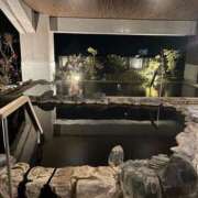 ヒメ日記 2025/03/01 00:37 投稿 咲紀(さき) 札幌人妻マドンナ