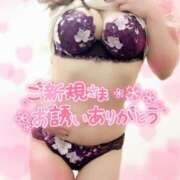 ヒメ日記 2025/03/02 15:49 投稿 咲紀(さき) 札幌人妻マドンナ