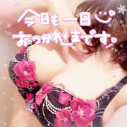 ヒメ日記 2025/03/11 19:42 投稿 咲紀(さき) 札幌人妻マドンナ