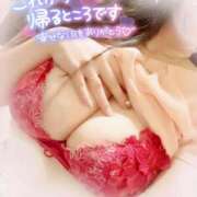 ヒメ日記 2025/03/18 03:57 投稿 咲紀(さき) 札幌人妻マドンナ