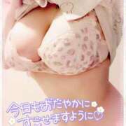 ヒメ日記 2025/04/06 19:48 投稿 咲紀(さき) 札幌人妻マドンナ