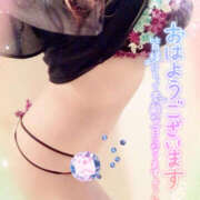 ヒメ日記 2025/04/11 07:48 投稿 咲紀(さき) 札幌人妻マドンナ