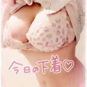 ヒメ日記 2025/05/01 21:33 投稿 咲紀(さき) 札幌人妻マドンナ