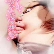 ヒメ日記 2025/05/06 10:27 投稿 咲紀(さき) 札幌人妻マドンナ