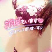 ヒメ日記 2025/05/08 02:48 投稿 咲紀(さき) 札幌人妻マドンナ