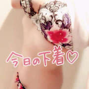 ヒメ日記 2025/07/23 16:30 投稿 咲紀(さき) 札幌人妻マドンナ