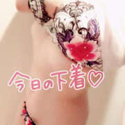 ヒメ日記 2025/09/29 16:48 投稿 咲紀(さき) 札幌人妻マドンナ