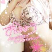 ヒメ日記 2025/11/03 10:04 投稿 咲紀(さき) 札幌人妻マドンナ