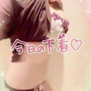 ヒメ日記 2025/11/08 16:19 投稿 咲紀(さき) 札幌人妻マドンナ