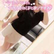 ヒメ日記 2025/11/24 02:48 投稿 咲紀(さき) 札幌人妻マドンナ