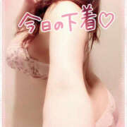 ヒメ日記 2025/11/28 17:33 投稿 咲紀(さき) 札幌人妻マドンナ