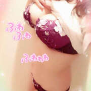 ヒメ日記 2025/12/17 16:18 投稿 咲紀(さき) 札幌人妻マドンナ