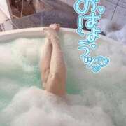 ヒメ日記 2025/12/19 08:03 投稿 咲紀(さき) 札幌人妻マドンナ