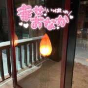 ヒメ日記 2026/01/15 12:03 投稿 咲紀(さき) 札幌人妻マドンナ