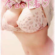 ヒメ日記 2026/01/26 17:34 投稿 咲紀(さき) 札幌人妻マドンナ