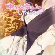 ヒメ日記 2026/01/29 13:04 投稿 咲紀(さき) 札幌人妻マドンナ