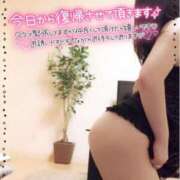 ヒメ日記 2026/03/02 12:03 投稿 咲紀(さき) 札幌人妻マドンナ