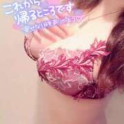 ヒメ日記 2026/03/25 02:18 投稿 咲紀(さき) 札幌人妻マドンナ